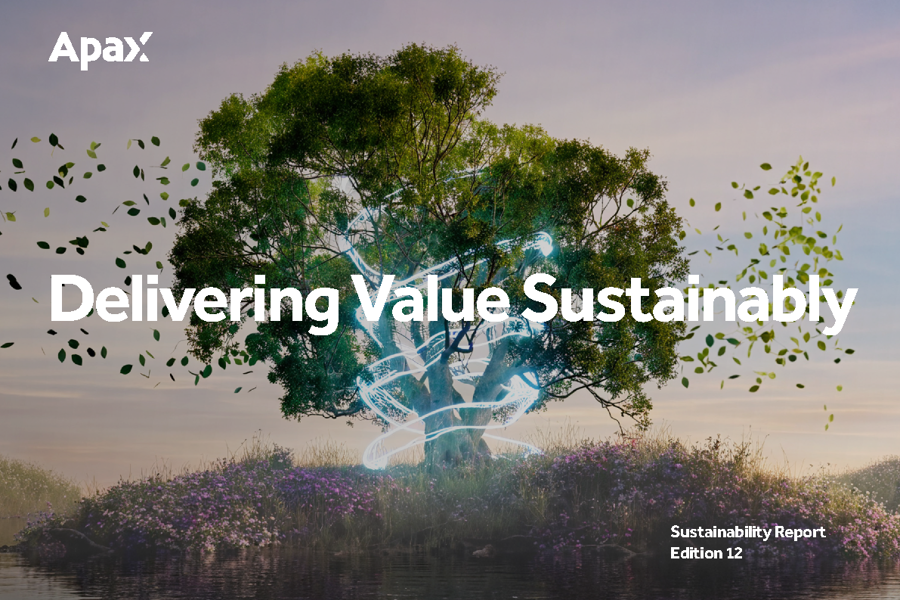 Apax Sustainability Report